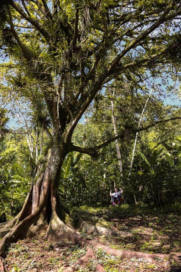 Chale Suico - Chales Belo Monte - Sitio Belo Monte Pacoti Eksteriør bilde